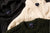 NOAH - The Fisherman Knit - Cover