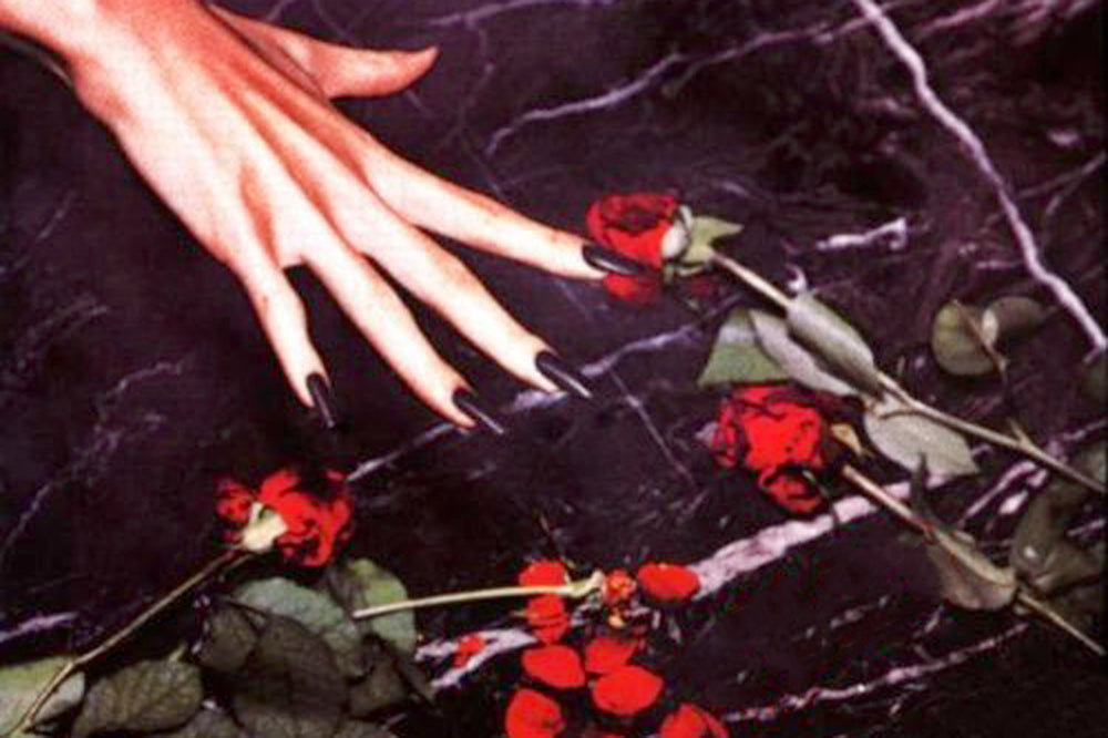 NY Rose - Cover